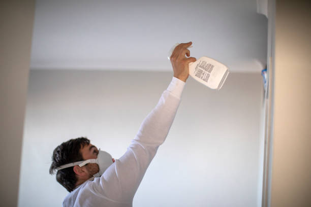 Best DIY Mold Remediation Support Services in West Hills, NY