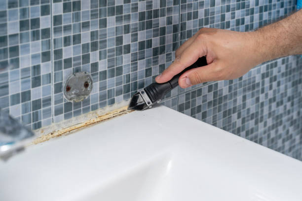 Best Insurance-Related Mold Remediation in West Hills, NY